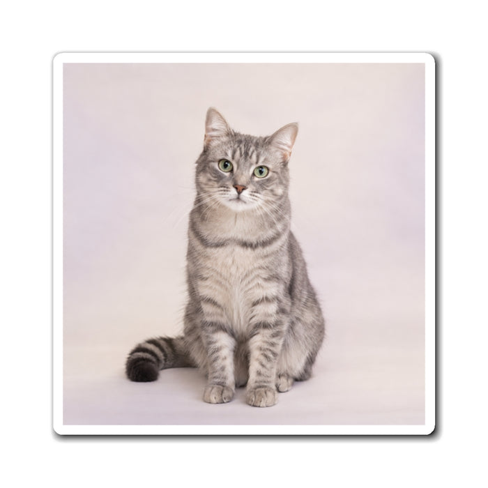 Personalized Pet Photo Magnet – Custom Dog or Cat Keepsake
