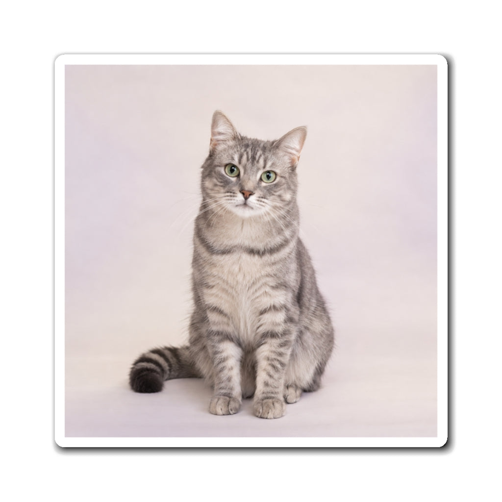 Personalized Pet Photo Magnet – Custom Dog or Cat Keepsake