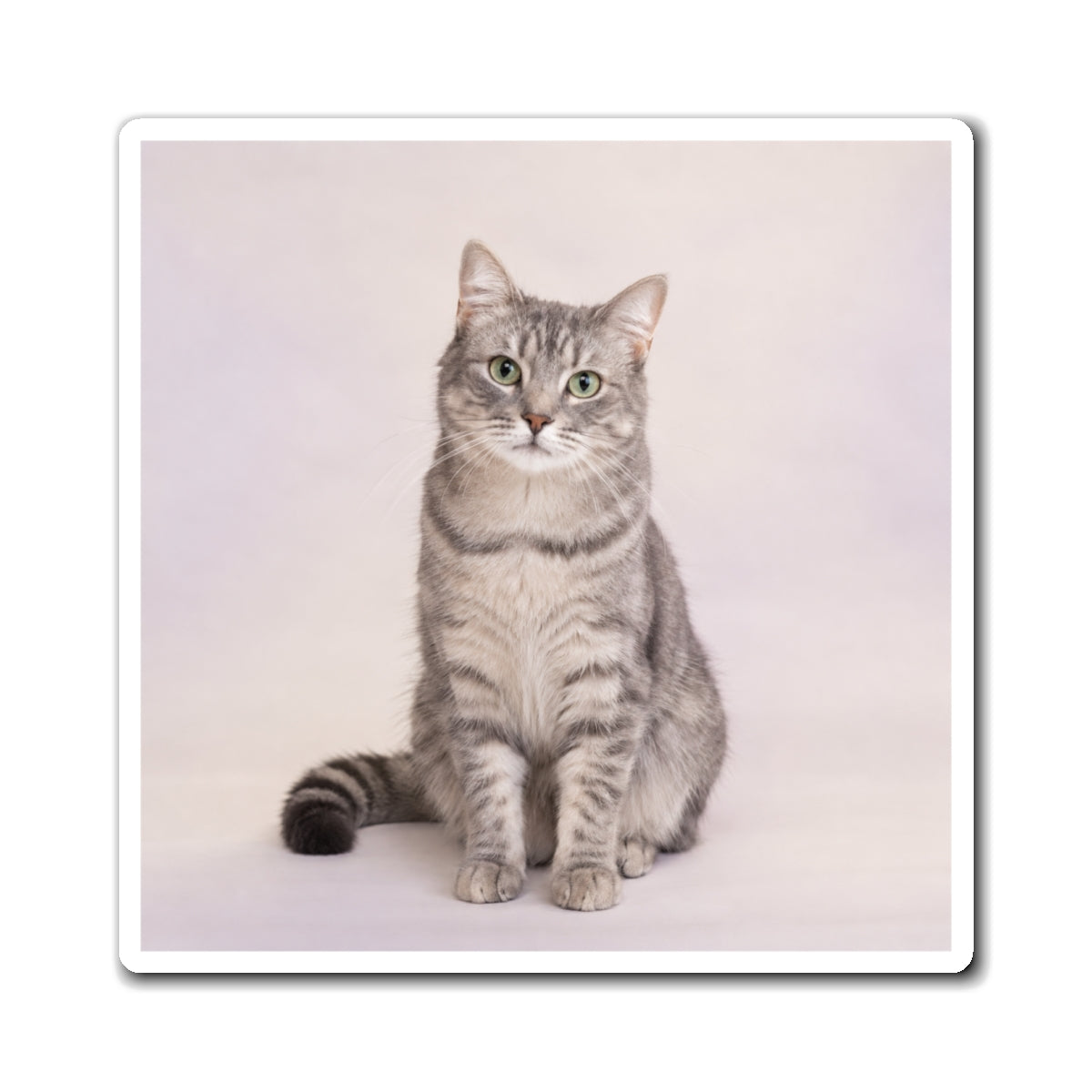 Personalized Pet Photo Magnet – Custom Dog or Cat Keepsake