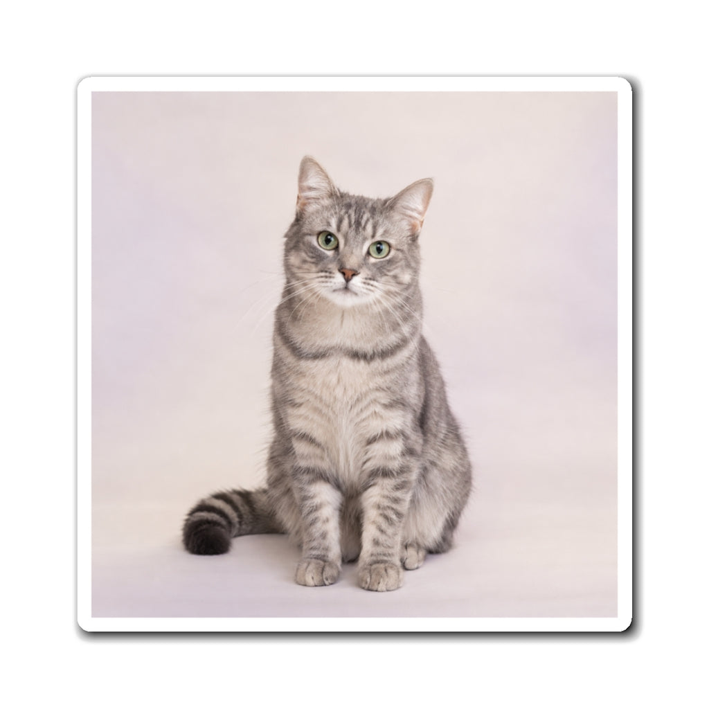 Personalized Pet Photo Magnet – Custom Dog or Cat Keepsake