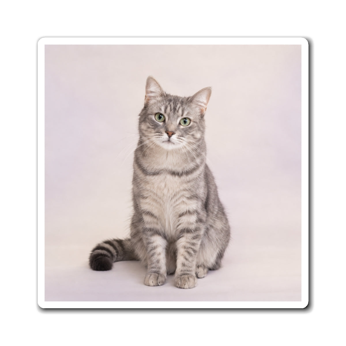 Personalized Pet Photo Magnet – Custom Dog or Cat Keepsake