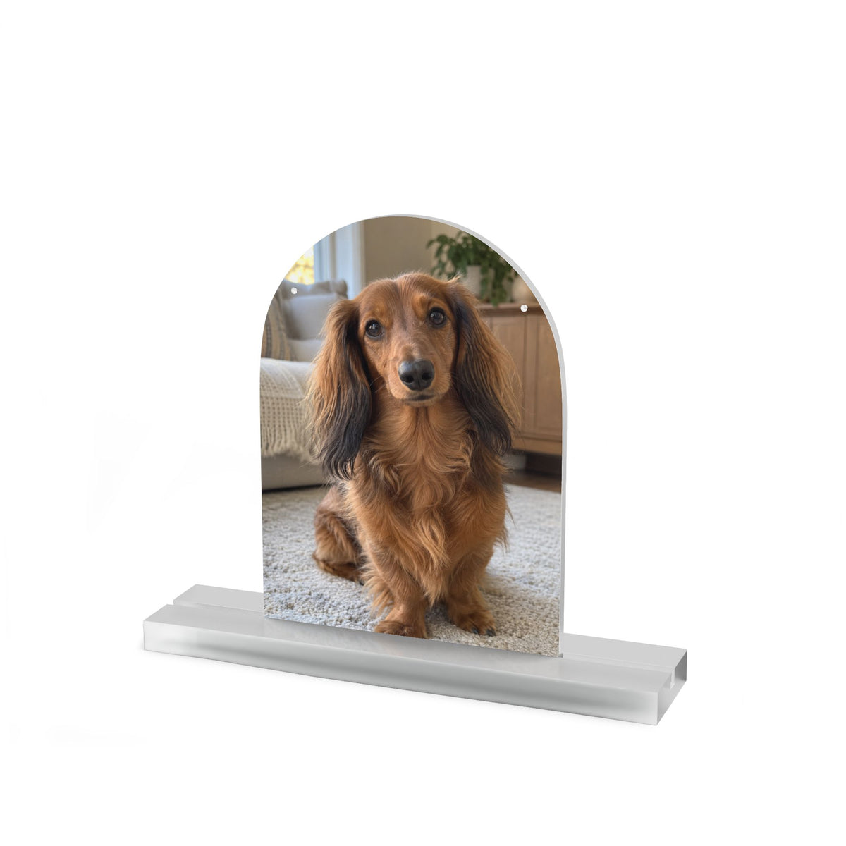 Personalized Acrylic Pet Portrait – Tabletop Keepsake