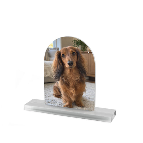 Personalized Acrylic Pet Portrait – Tabletop Keepsake