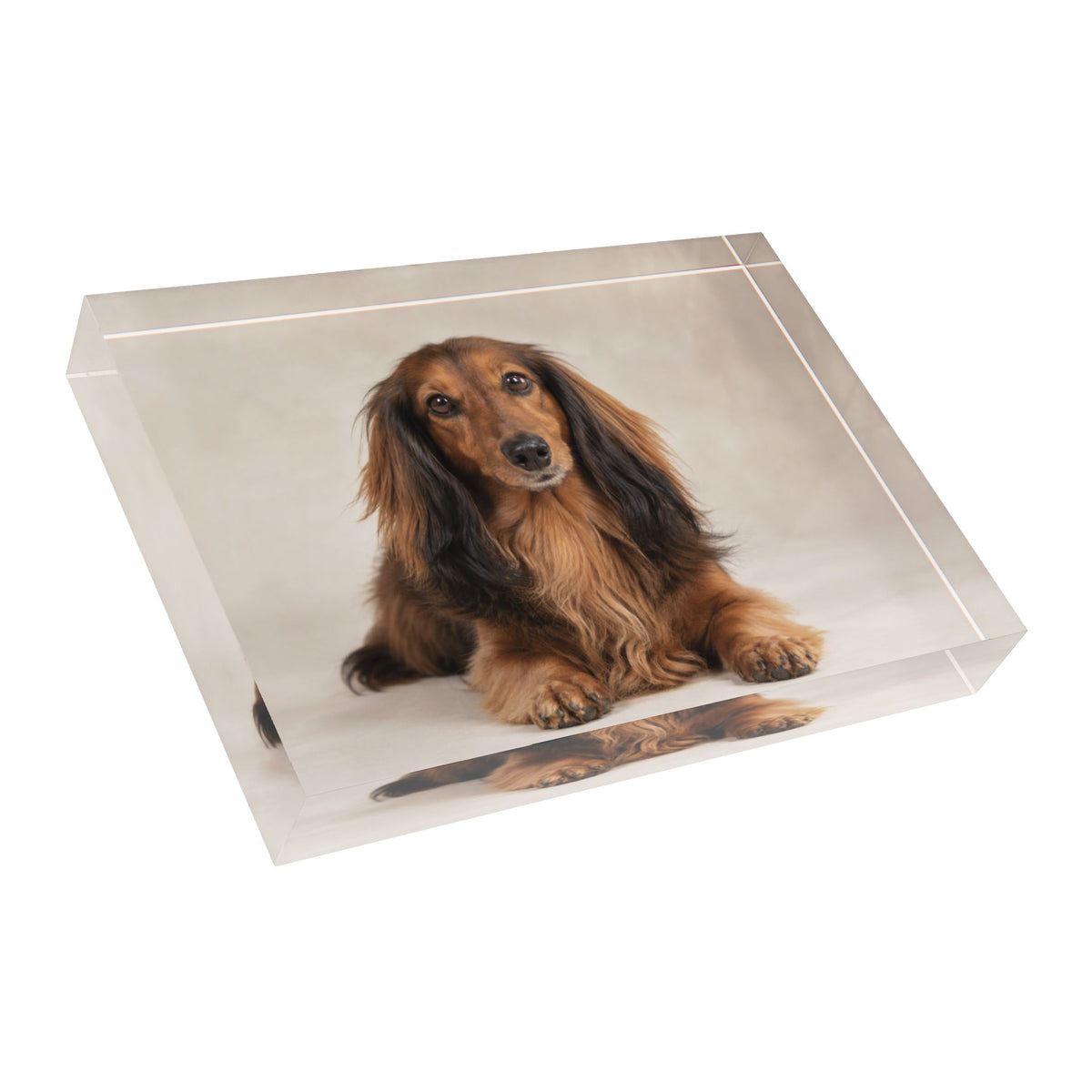 Personalized Acrylic Pet Photo Block – Custom Keepsake