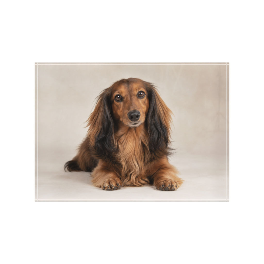 Personalized Acrylic Pet Photo Block – Custom Keepsake
