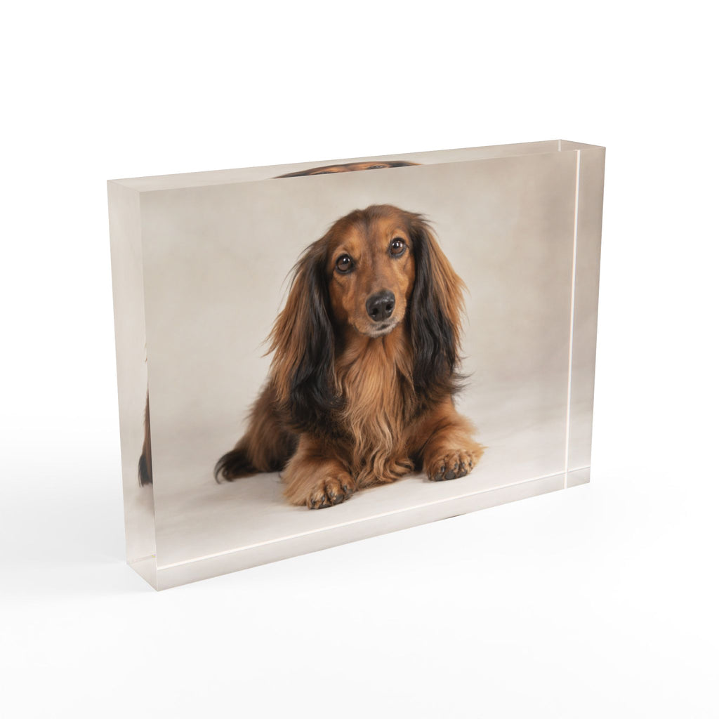 Personalized Acrylic Pet Photo Block – Custom Keepsake