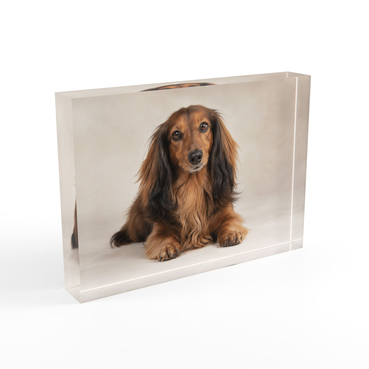 Personalized Acrylic Pet Photo Block – Custom Keepsake