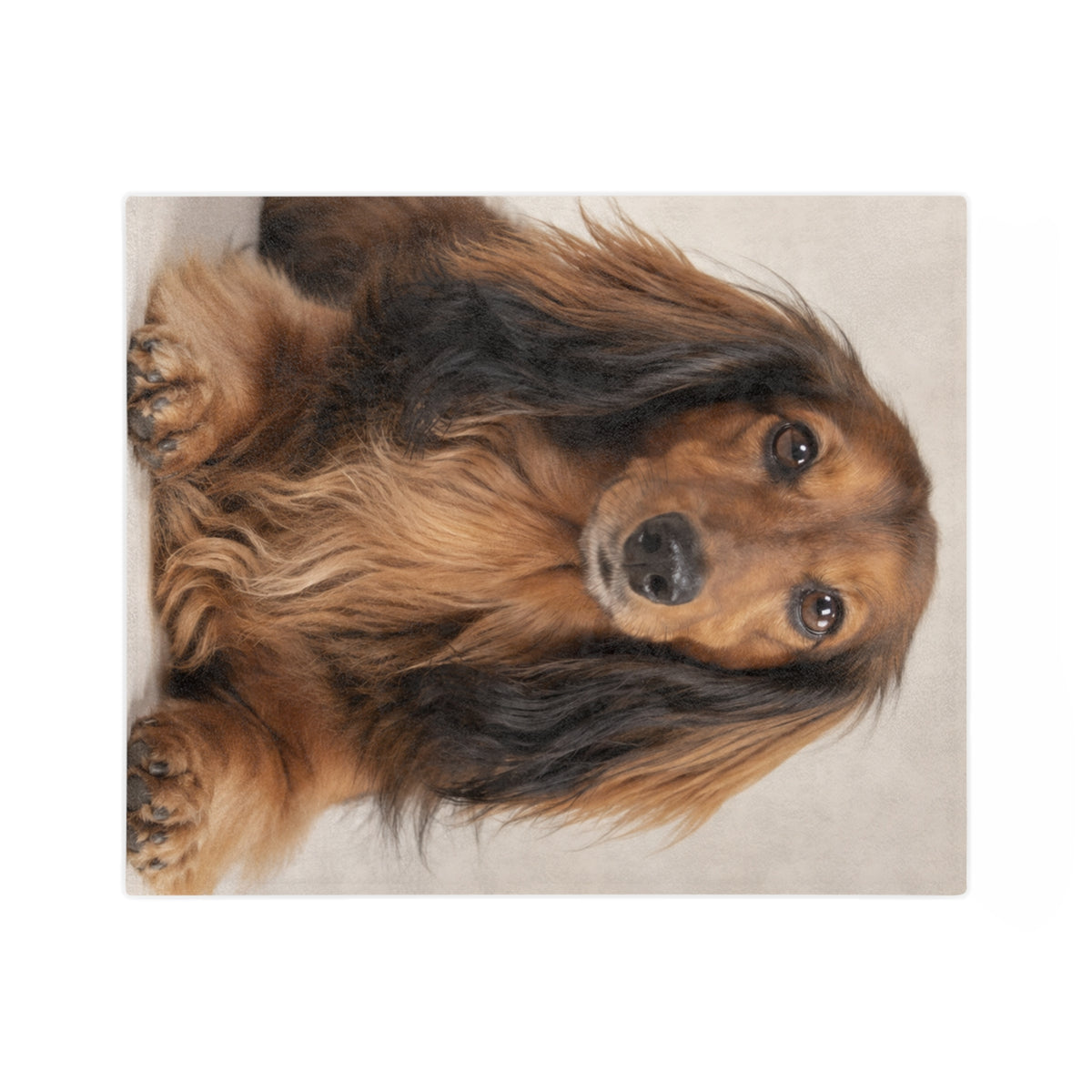 Personalized Pet Photo Blanket – Custom Dog or Cat Keepsake