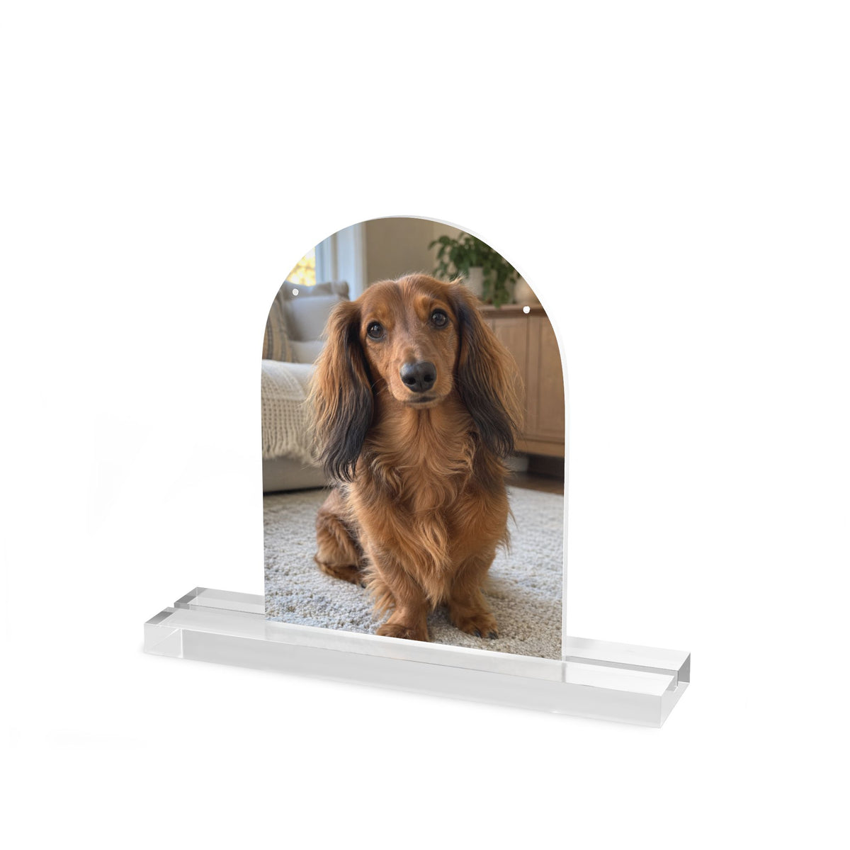 Personalized Acrylic Pet Portrait – Tabletop Keepsake