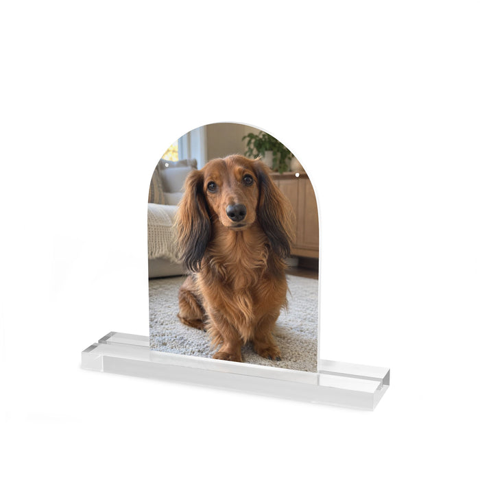 Personalized Acrylic Pet Portrait – Tabletop Keepsake